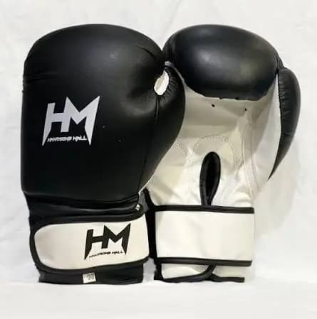 Boxing Gloves - View 1