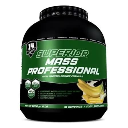 Mass Professional - View 1