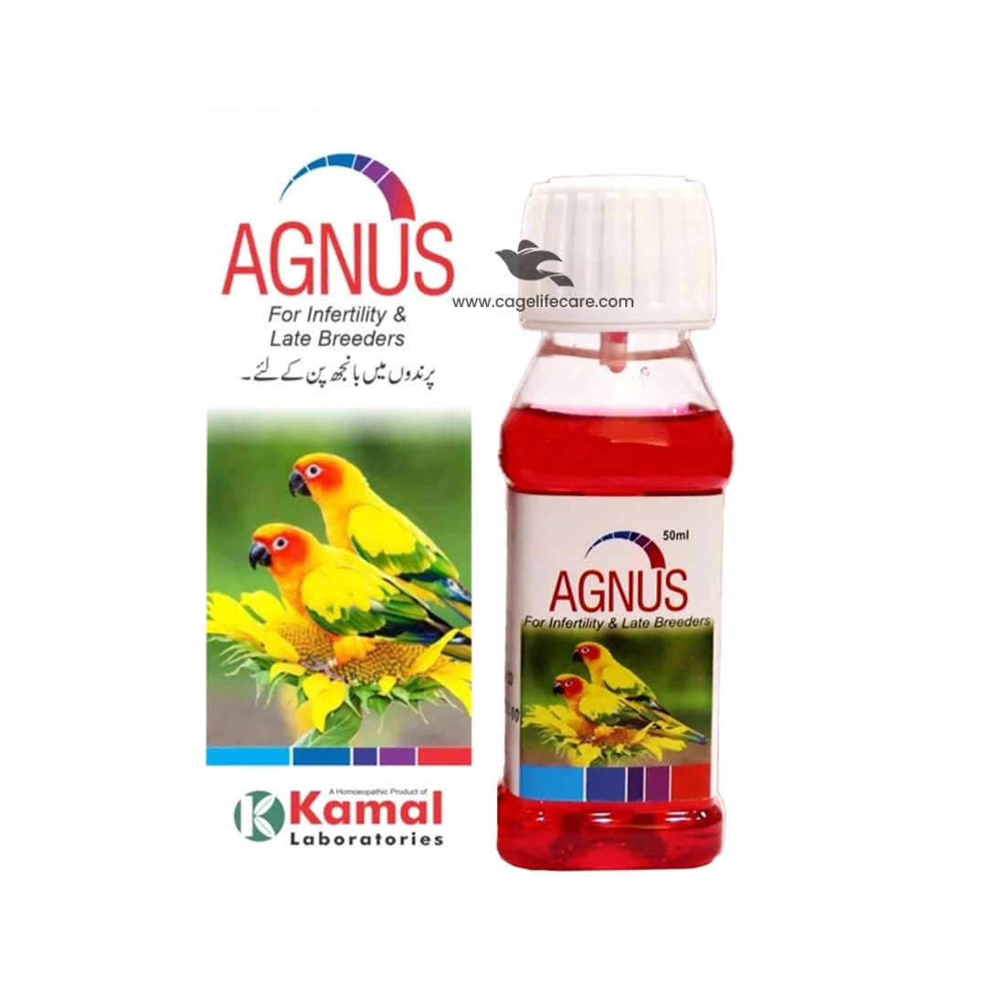 AGNUS (For Infertility & Late Breeders)